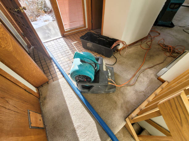 Water damage restoration mold remediation in OK