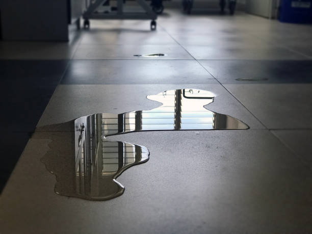 Best Professional water damage repair  in Sapulpa, OK