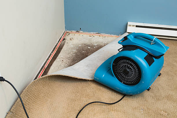 Best Water damage cleanup near me  in Sapulpa, OK